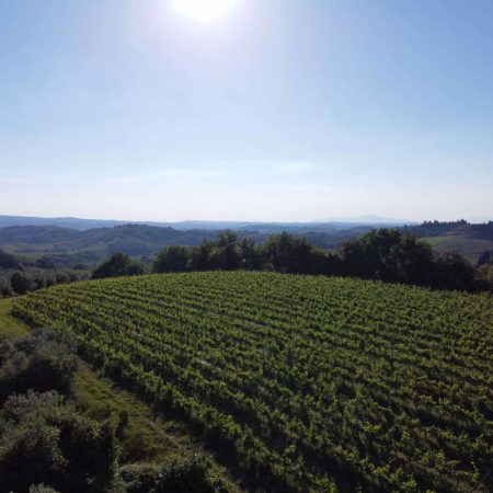 tenuta toscana